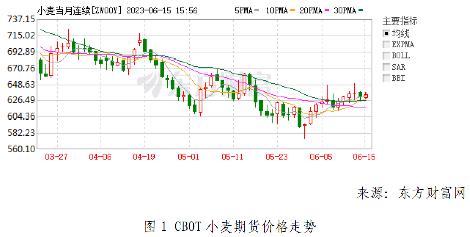 小麦1.png